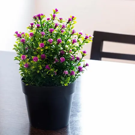 Apartamento Turistico Mareo 97 Apartman