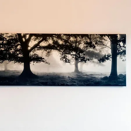 Appartement Apartamento Turistico Mareo 97 *